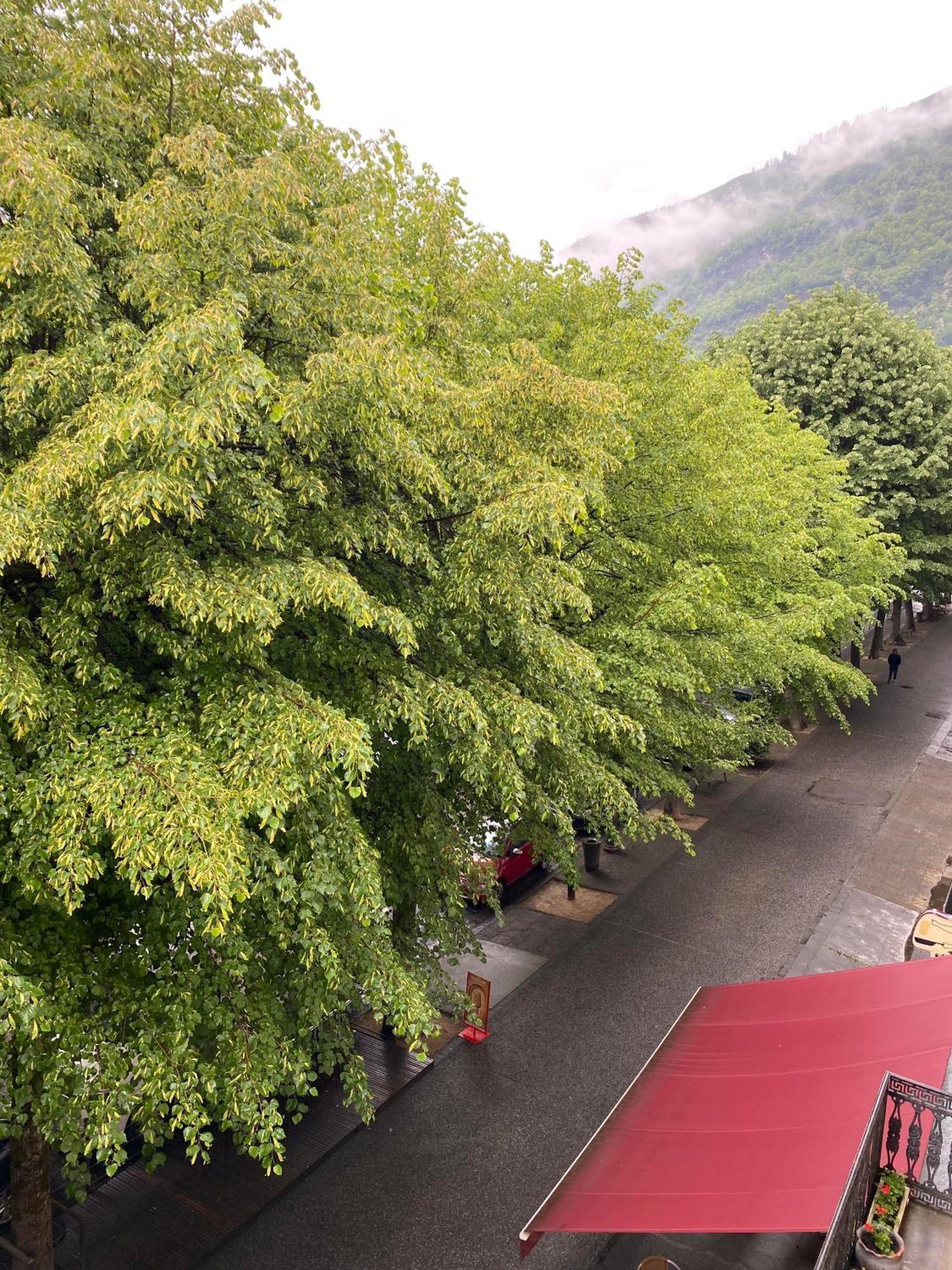 Au 47 Allees D'Etigny - Central & Standing - Avec Parking - Linge De Lit Et De Toilette Inclus Bagnères-de-Luchon Exteriér fotografie